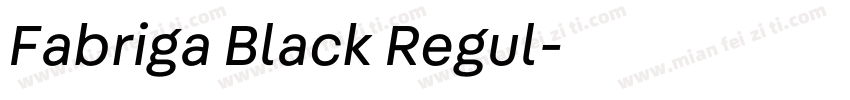 Fabriga Black Regul字体转换